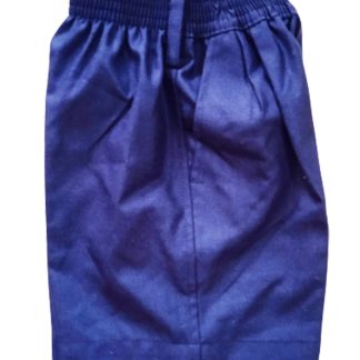 Boys Shorts Elastic